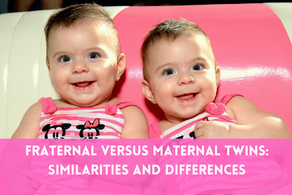 Fraternal Versus Maternal Twins Similarities And Differences Twinsmag