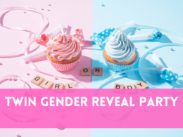 Twin Gender Reveal Party
