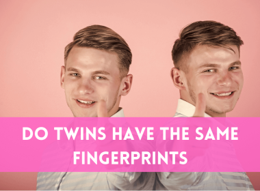 Do twins have the same fingerprints